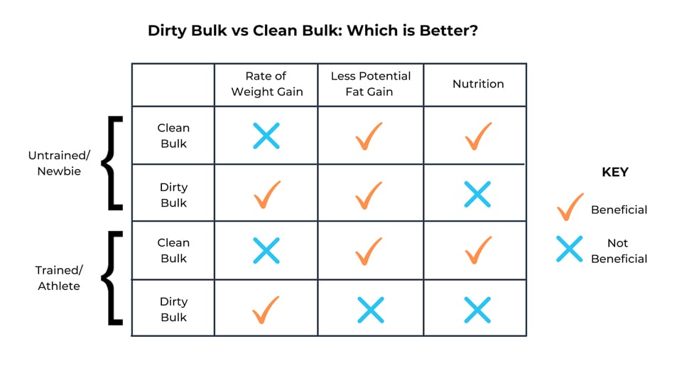 differences between bulking and cutting diets