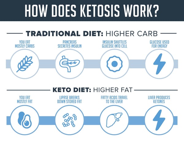 grafiek wat is ketose