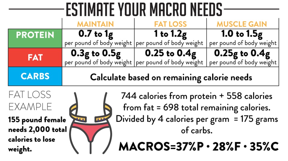 Counting Macros for Beginners - That Fit Fam