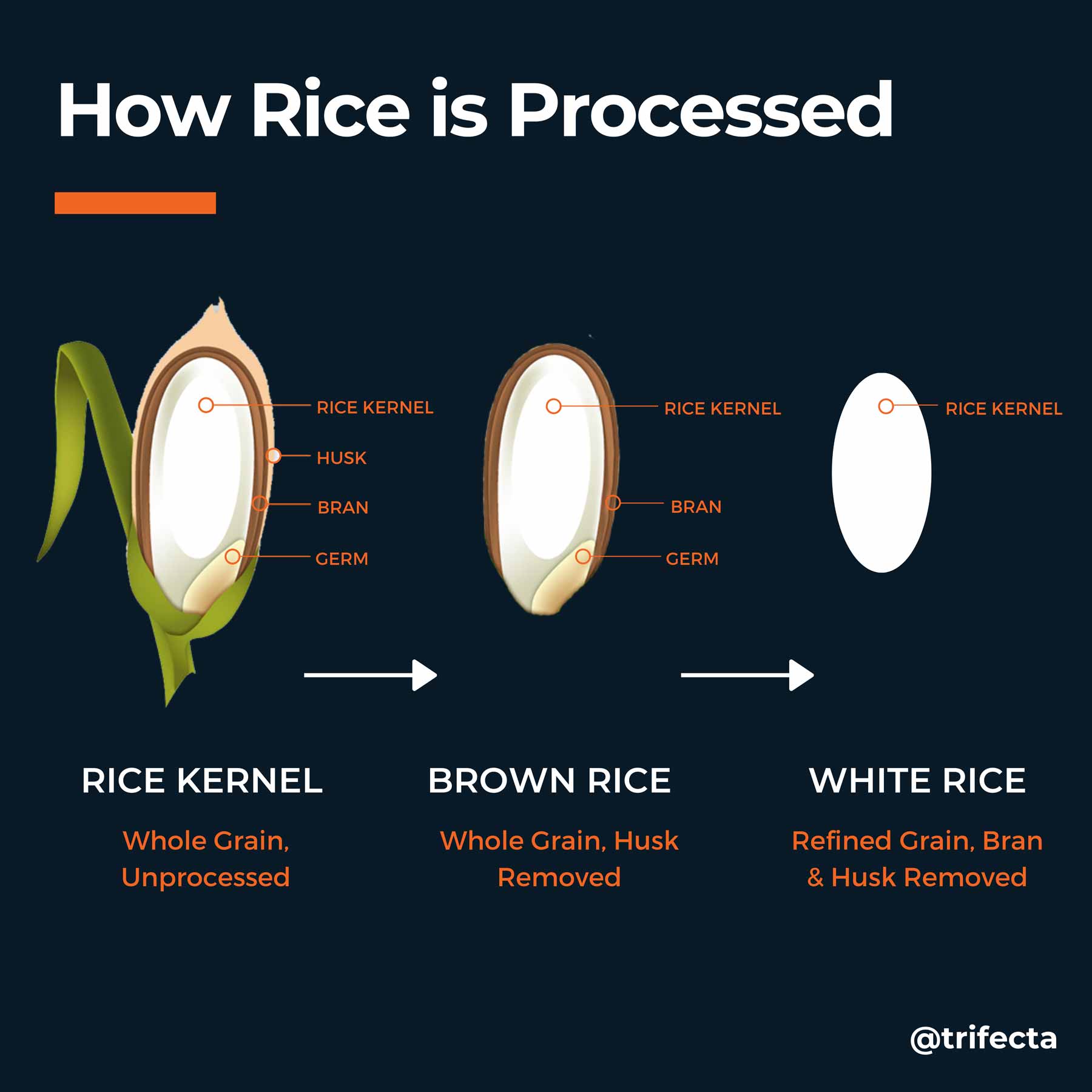 Brown Rice Vs White Rice Which One Is Better   Brown Rice Vs White Rice 1 