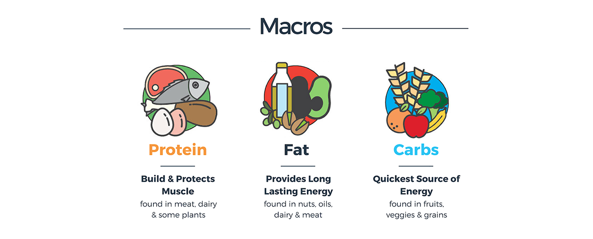 micro macro nutrients goals macronutrient meal planner