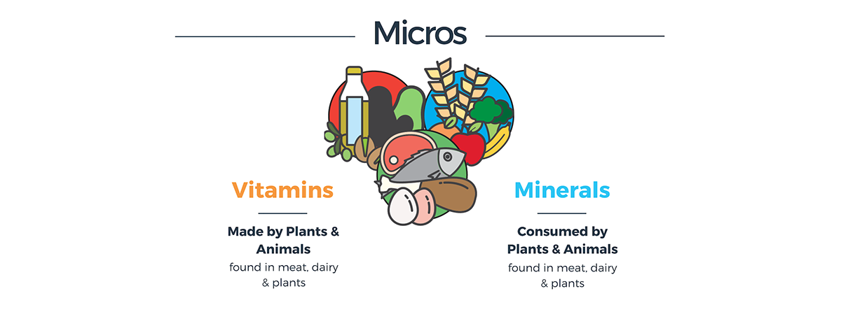 micro v macro nutrients