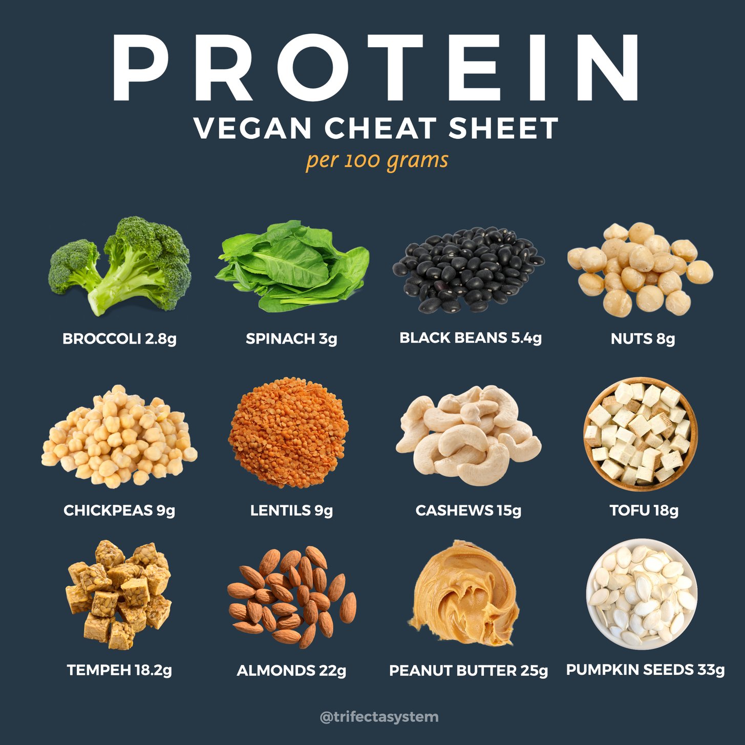 Vegan Protein Social ?width=1455&name=vegan Protein Social 