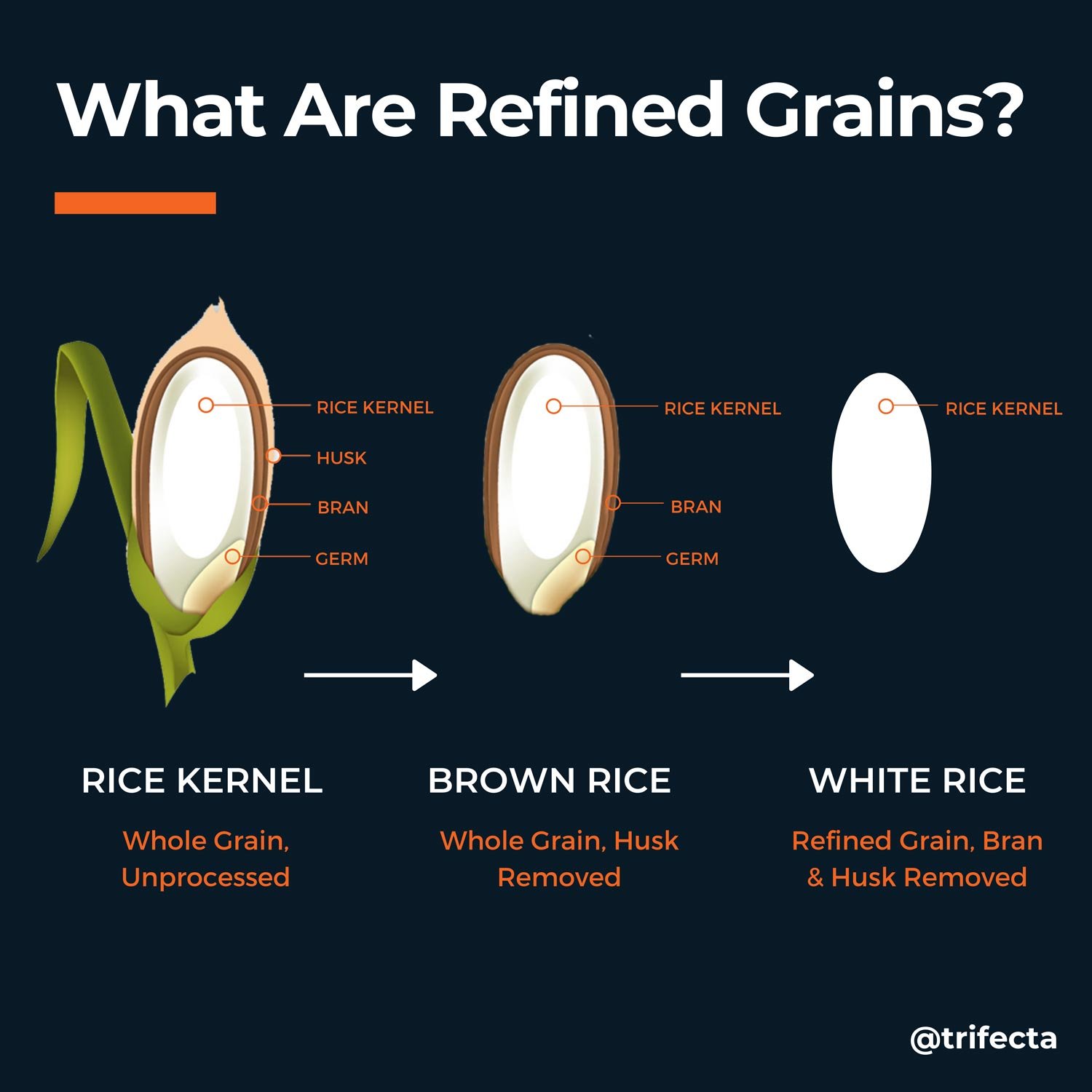 what-are-refined-carbs-and-are-they-bad-for-your-health